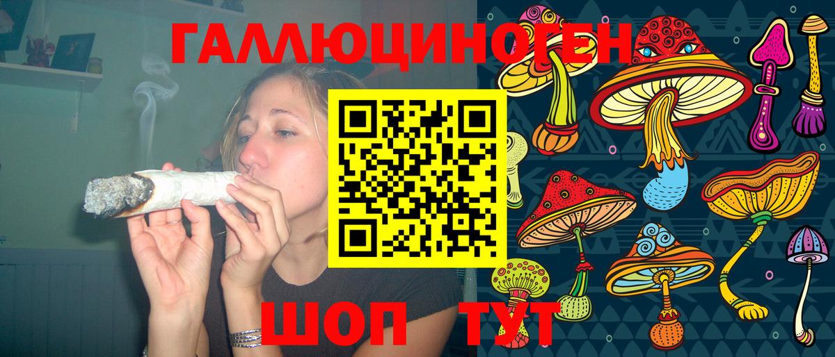 Псилоцибиновые грибы Psilocybine cubensis Вышний Волочёк