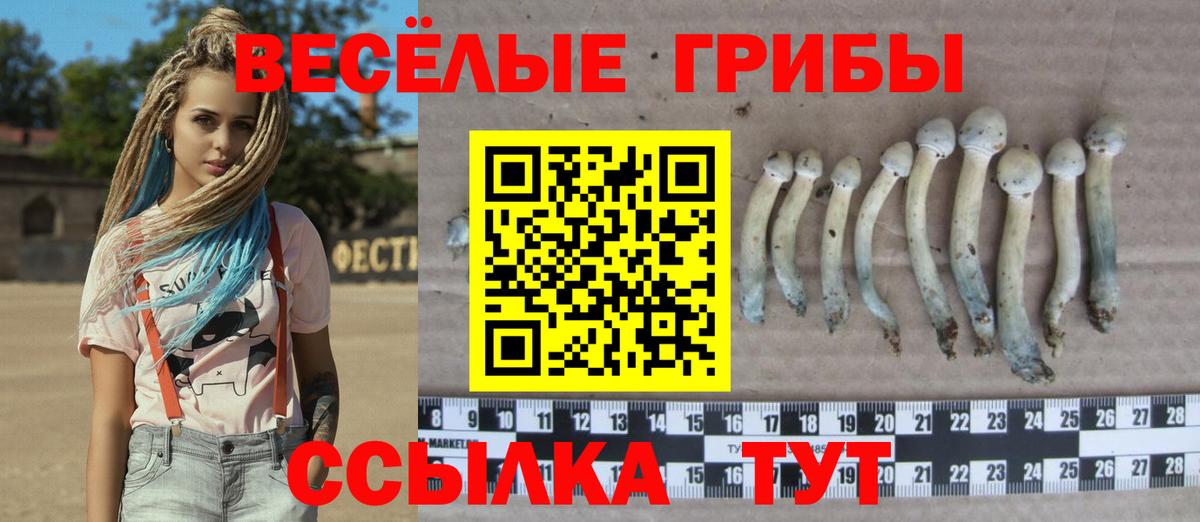 Галлюциногенные грибы ЛСД  Вход с VPN  Вышний Волочёк 